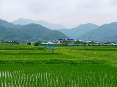 香南地域の画像1