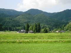 上齋原地域の画像2