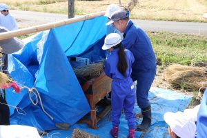 大野小学校で稲の脱穀の画像1