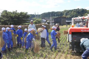 大野小学校で稲の脱穀の画像2