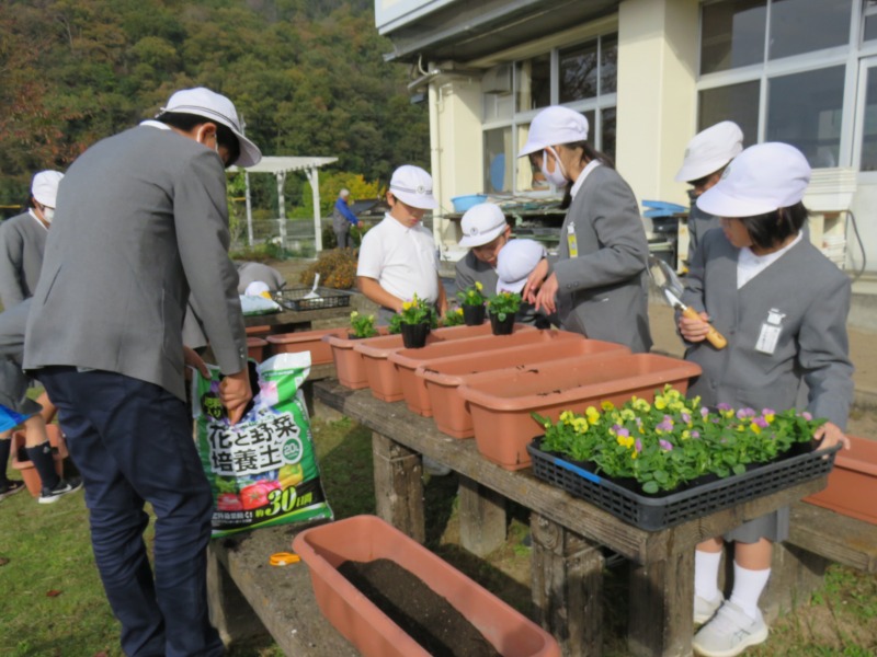 11月16日　花作りの画像