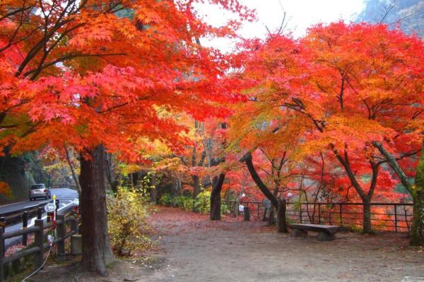 奥津渓の紅葉写真