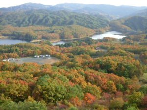 恩原湖ライブカメラへのリンク