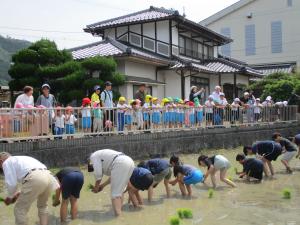 田植え