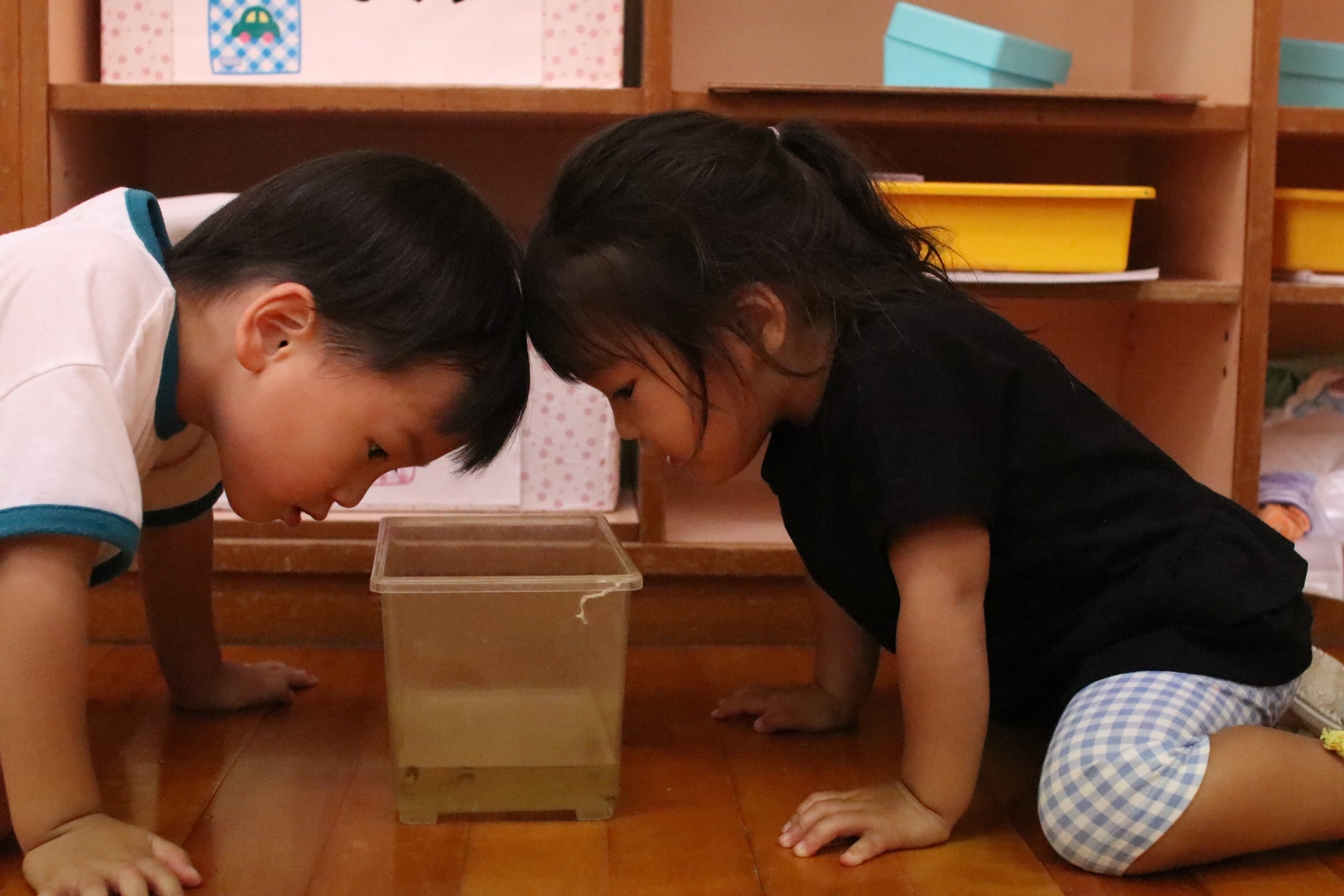 郷幼稚園４