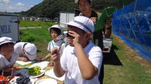 ぶどう学習