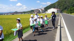 ぶどう学習