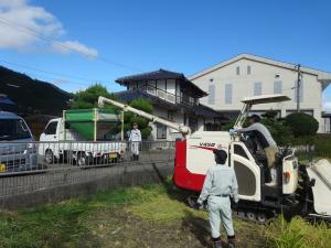 田んぼ