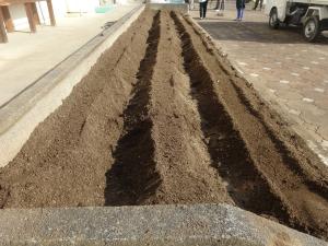 土作りボランティア