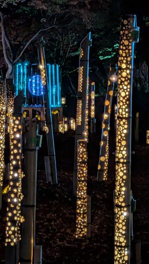 11月16日越畑ナイト