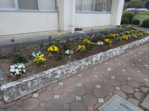 草取りボランティア