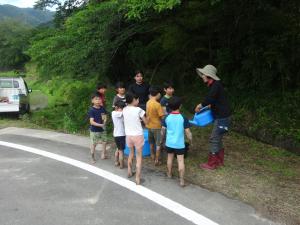 田植え