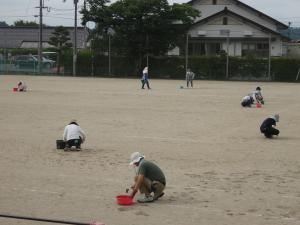 草取りボランティア