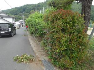 草取りボランティア