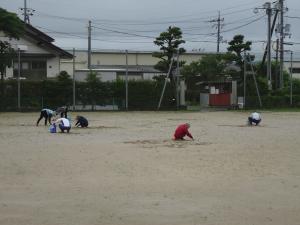 草取りボランティア