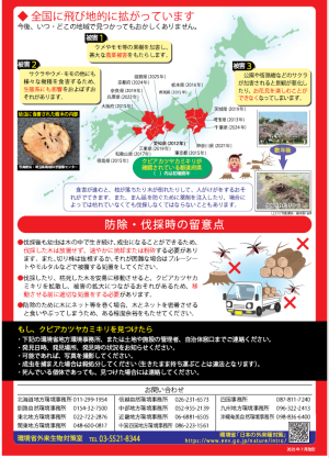 環境省チラシ（クビアカツヤカミキリ）_2